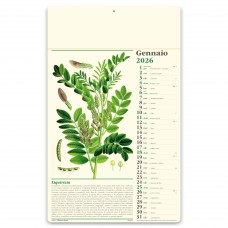 ALMANACCO ITALIANO - ERBORISTERIA PA011