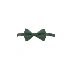 PAPILLON MA0109